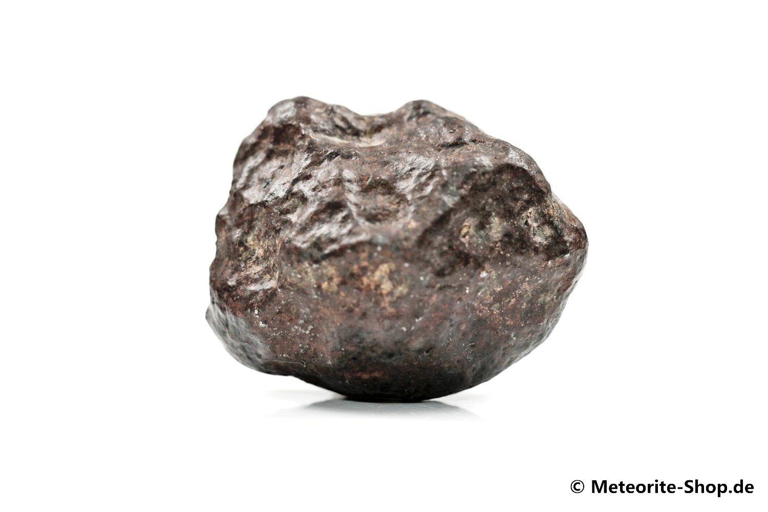 NWA Erfoud Meteorit - 33,60 g
