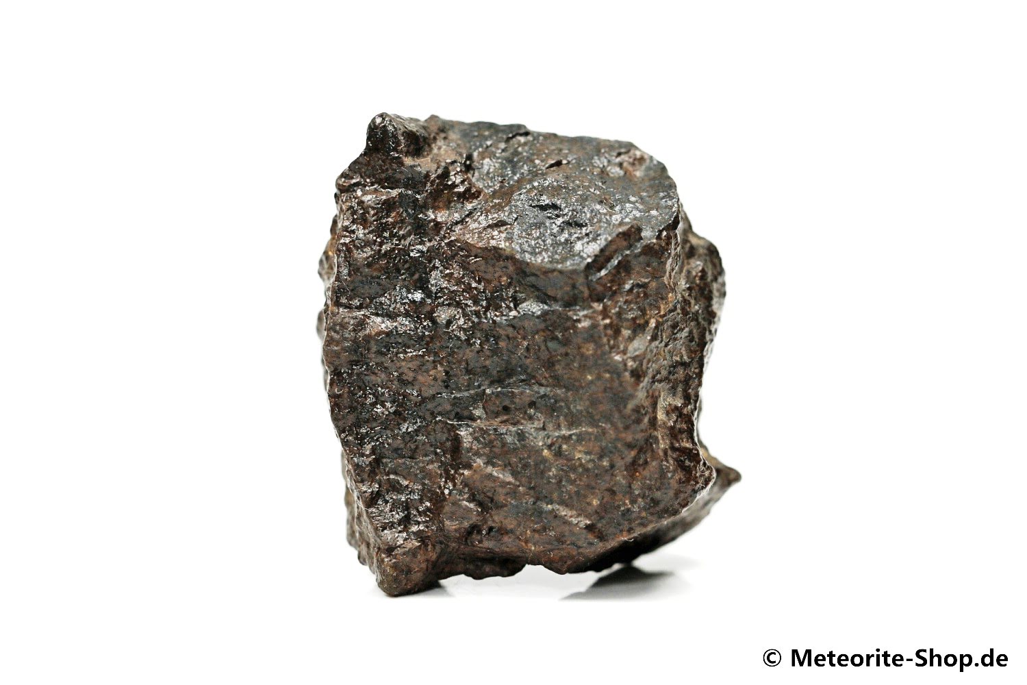 NWA Westsahara Meteorit - 55,20 g