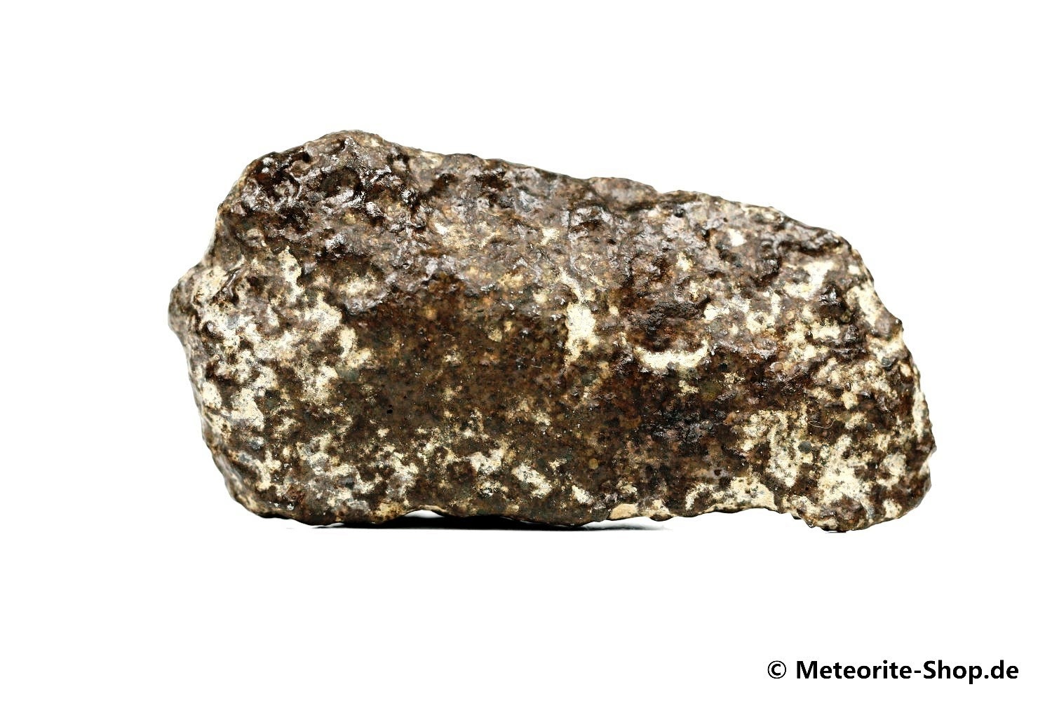 NWA Ouarzazate Meteorit - 102,50 g