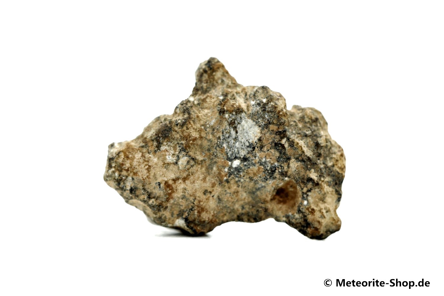 NWA 11407 Mond Meteorit - 1,560 g -
