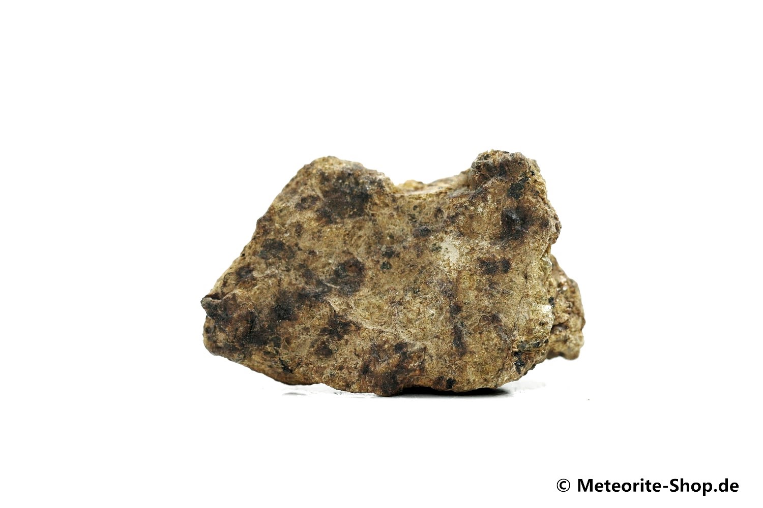 NWA 12953 Meteorit - 21,10 g