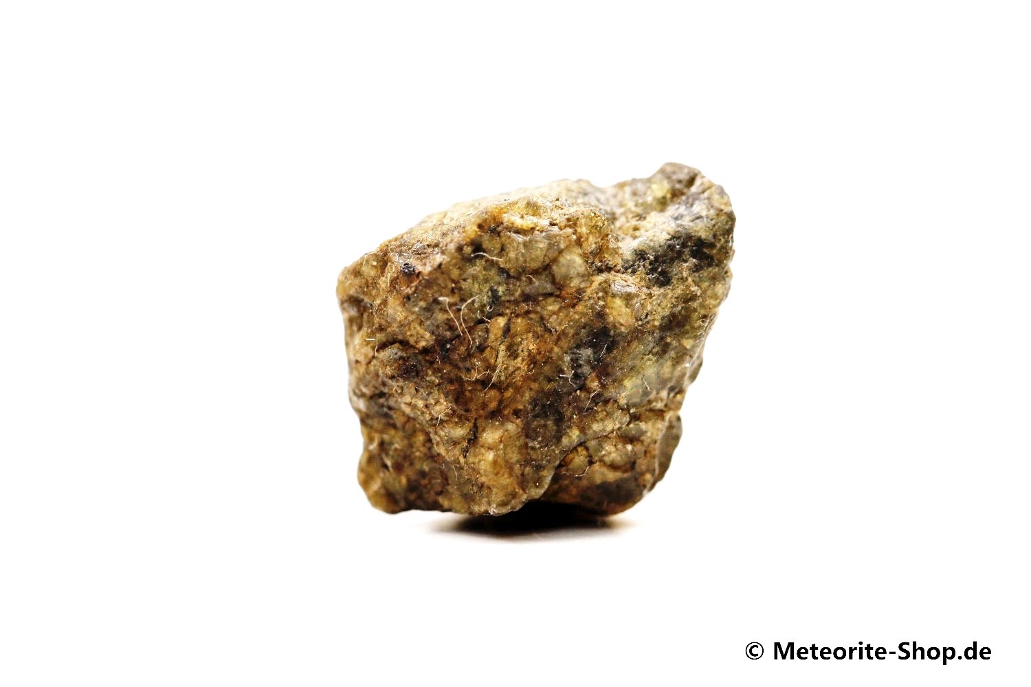 Erg Chech 002 Meteorit - 1,90 g