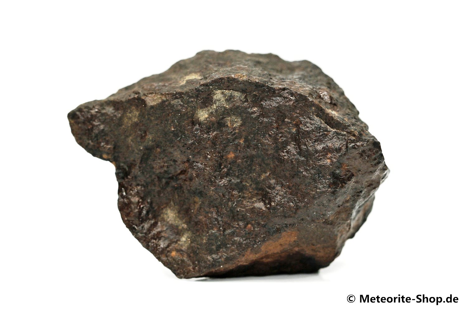 NWA Casablanca Meteorit - 75,00 g