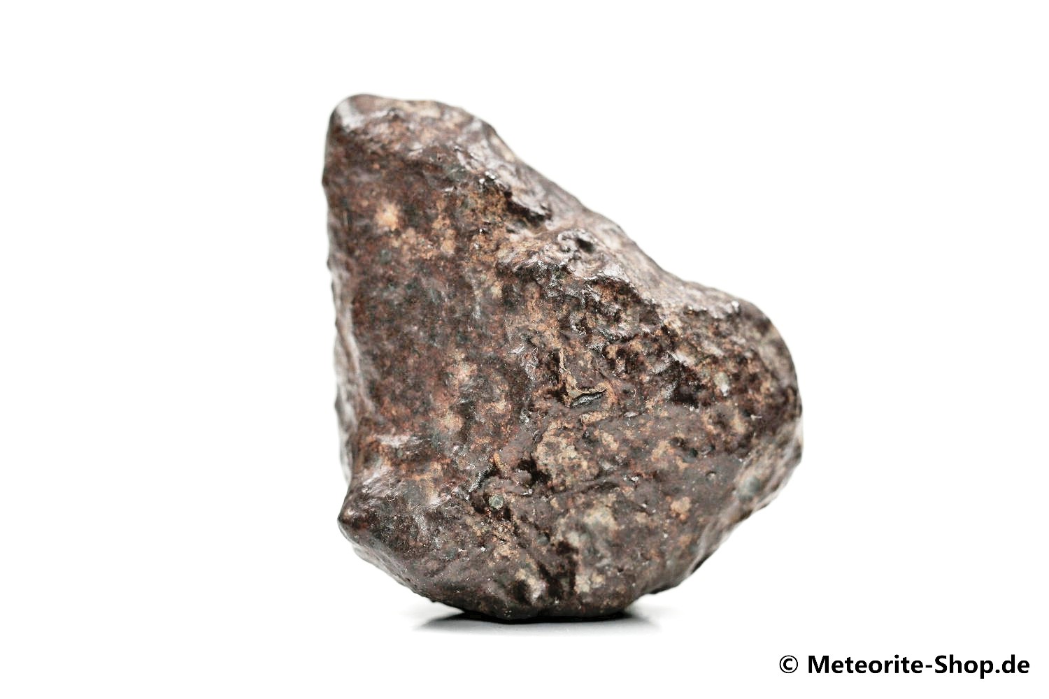 NWA Casablanca Meteorit - 49,80 g