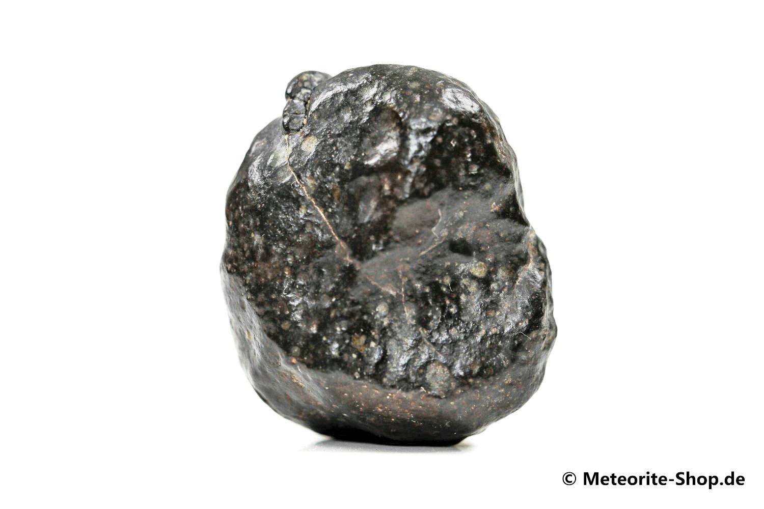 Tanezrouft 092 Meteorit - 16,50 g
