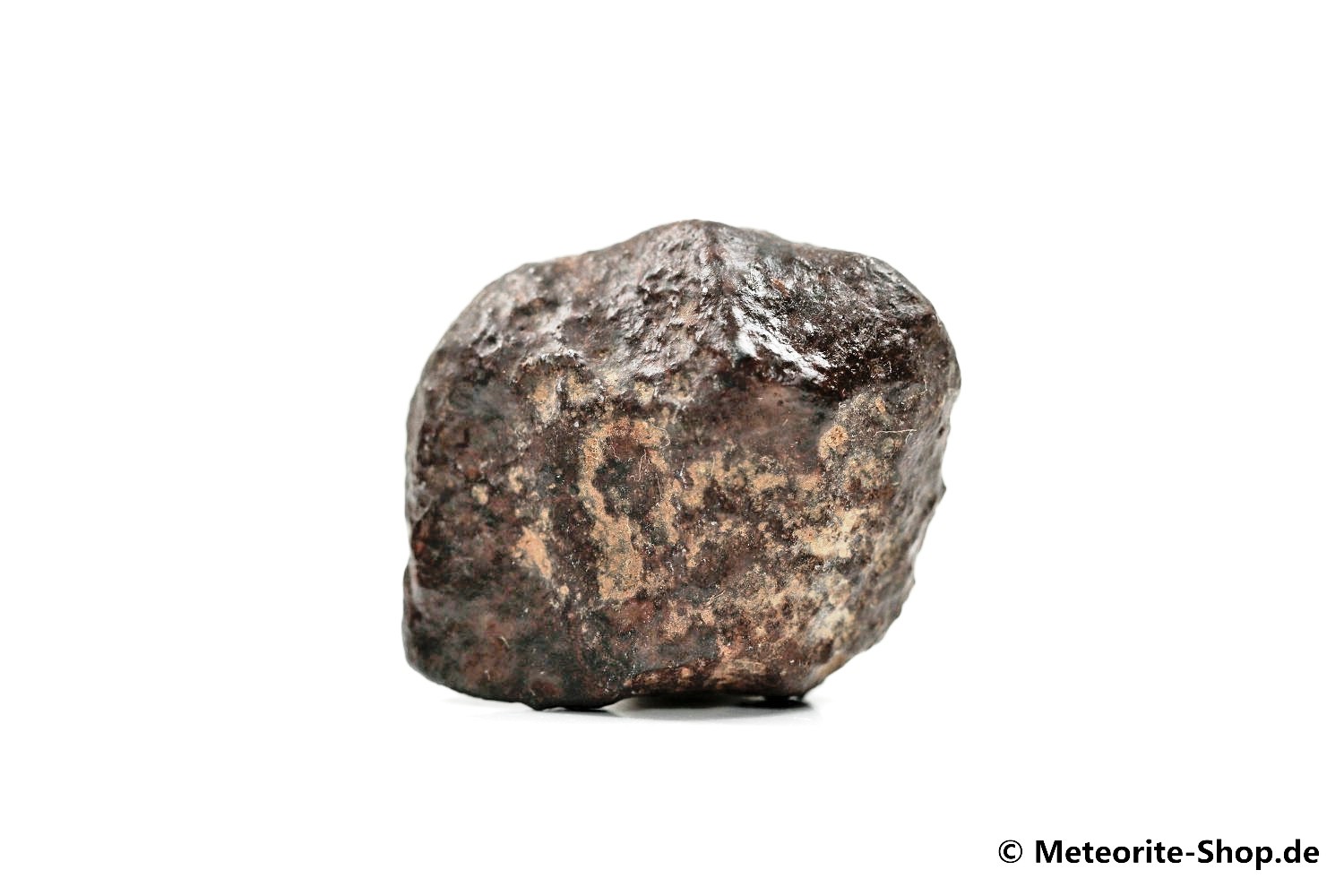 NWA Erfoud Meteorit - 31,20 g