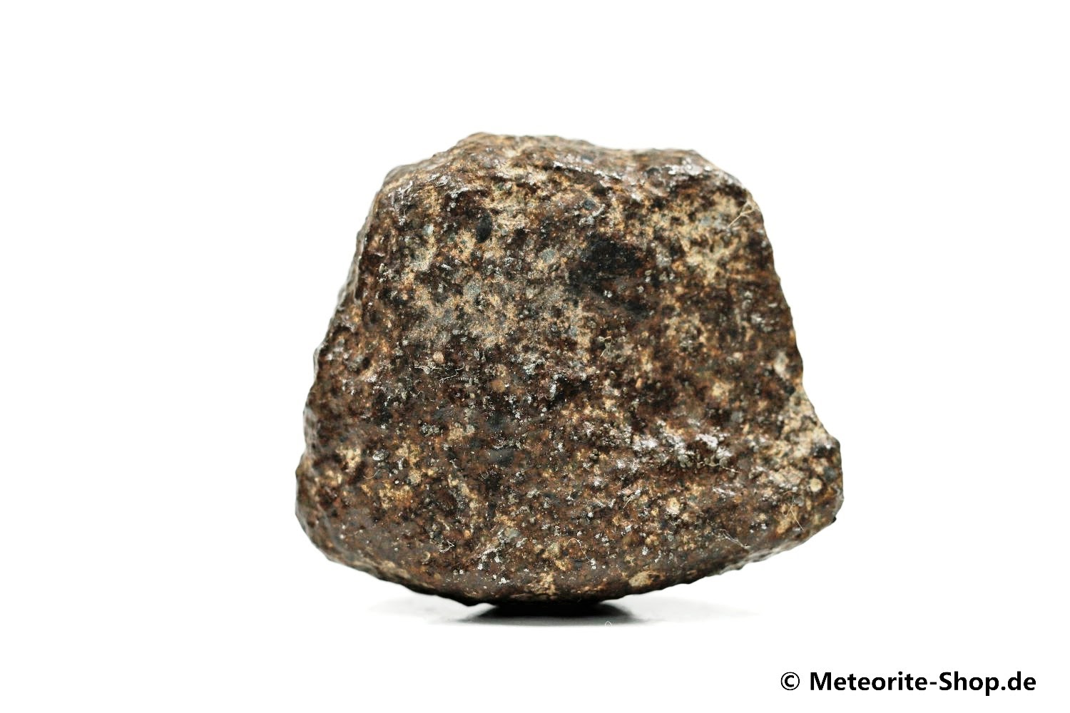 NWA Rissani Meteorit - 72,20 g