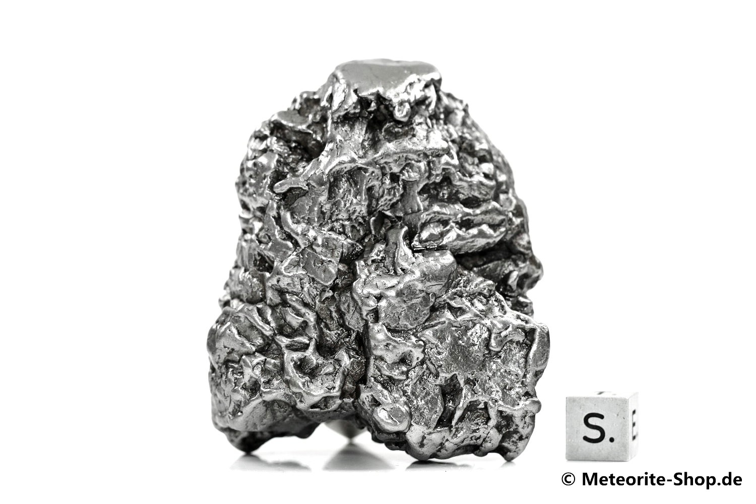 Campo del Cielo Meteorit - 322,10 g