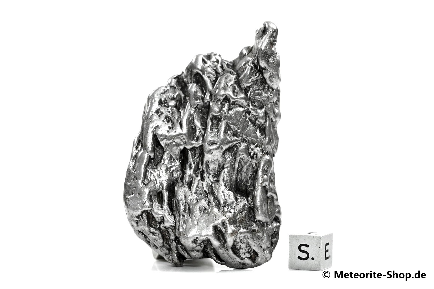 Campo del Cielo Meteorit - 306,20 g