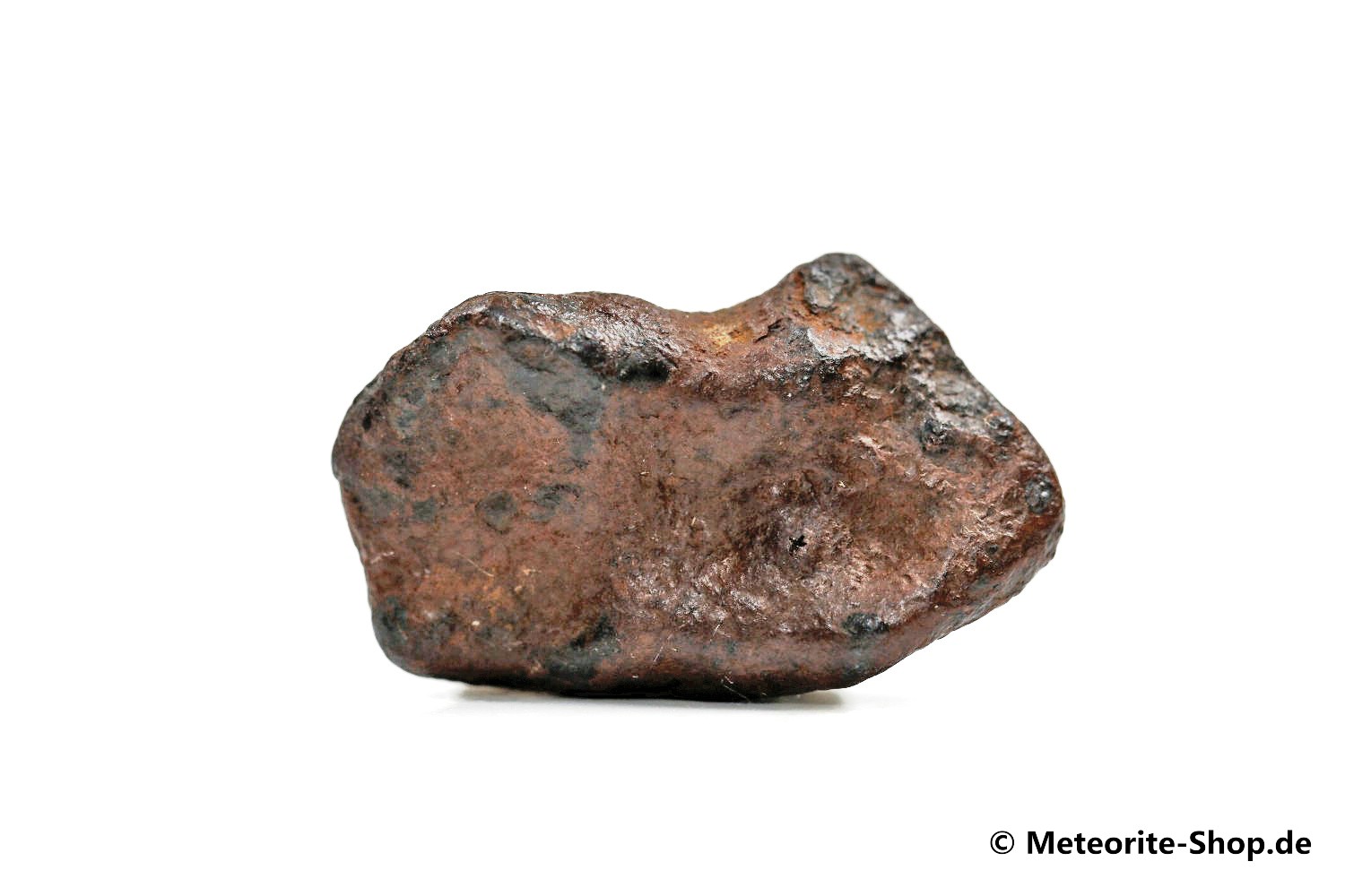 NWA 859 Meteorit - 8,70 g