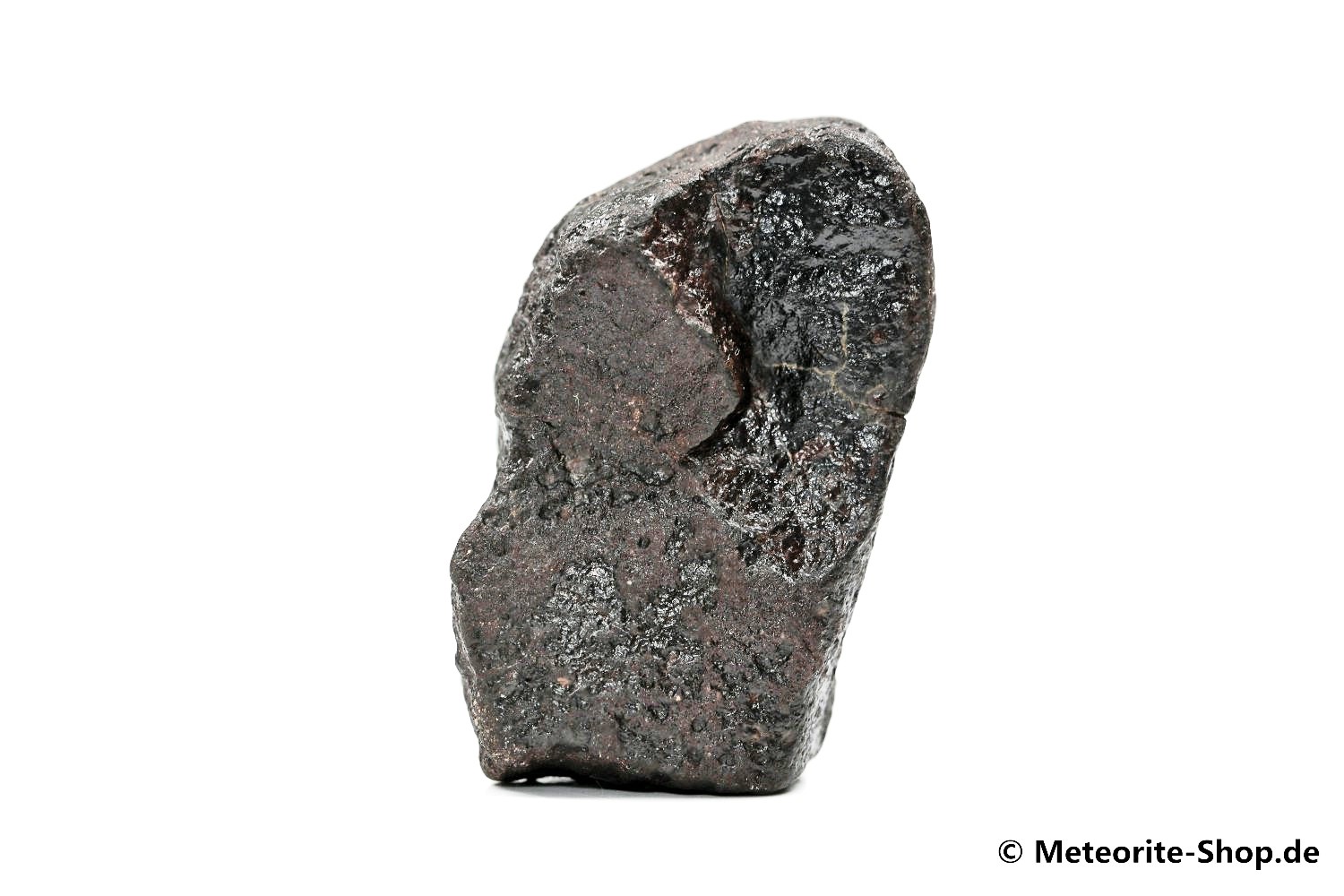 NWA Sahara Meteorit - 48,40 g