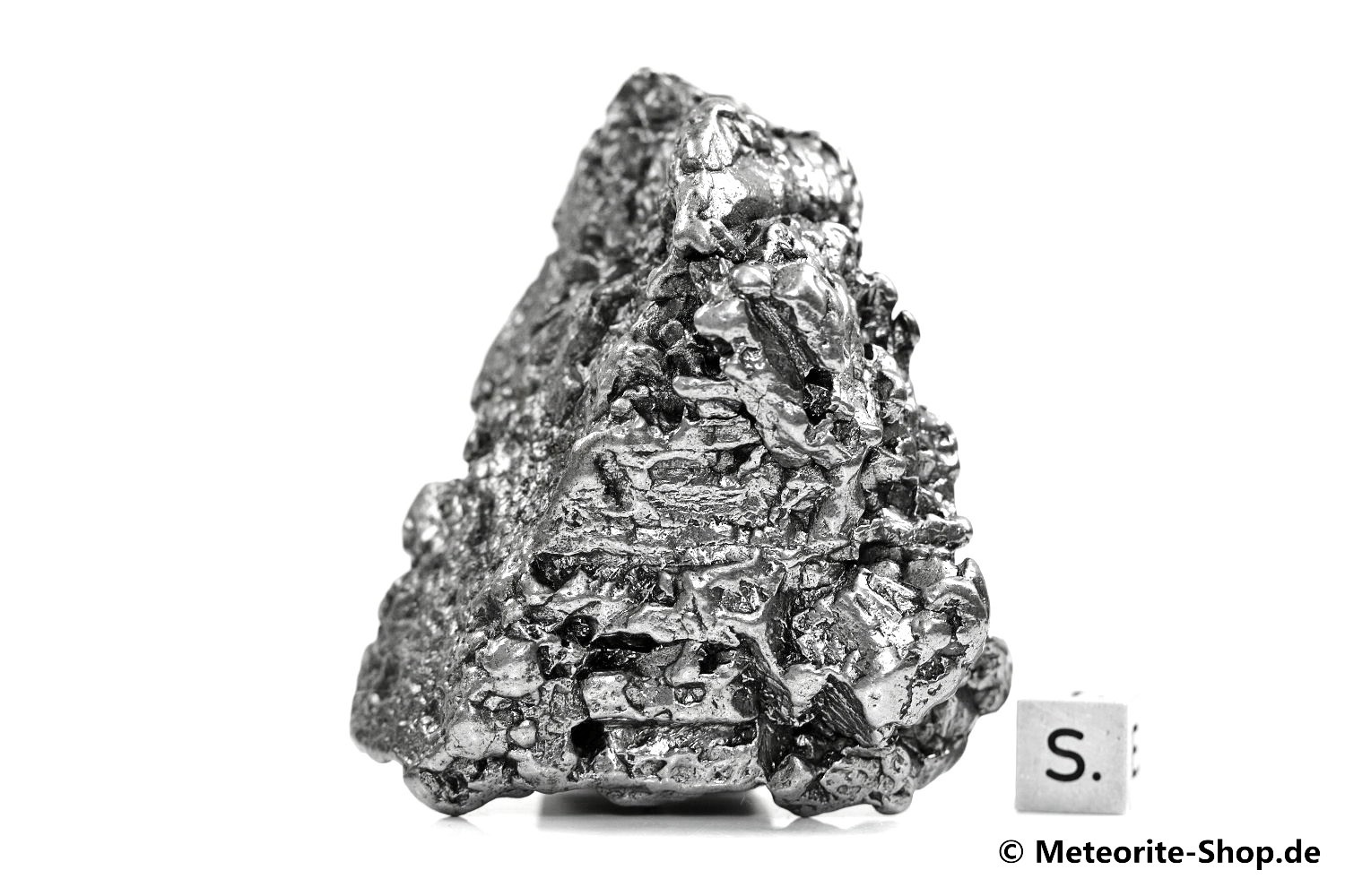 Campo del Cielo Meteorit - 322,80 g