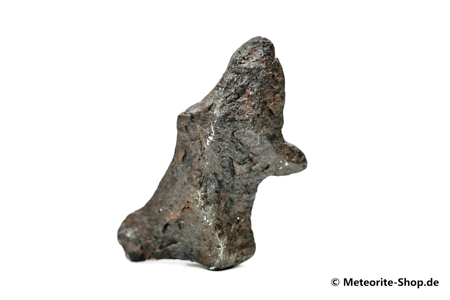 Canyon Diablo Meteorit - 15,60 g