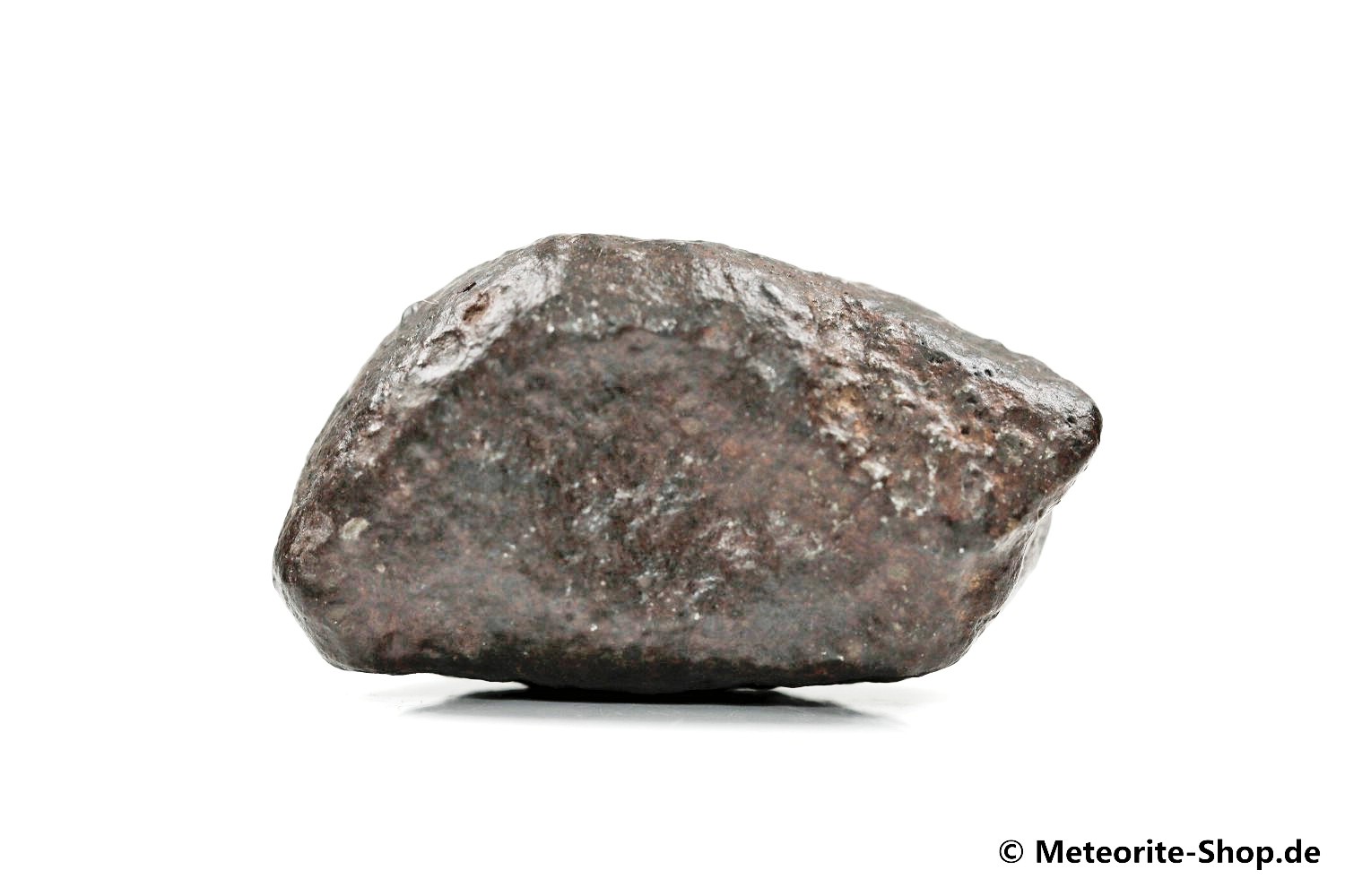 NWA Erfoud Meteorit - 36,60 g