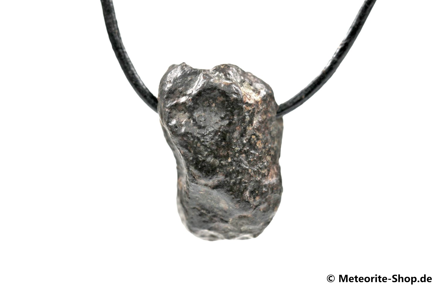 Stein-Meteorit-Anhänger (NWA 869 | Natura) - 10,10 g
