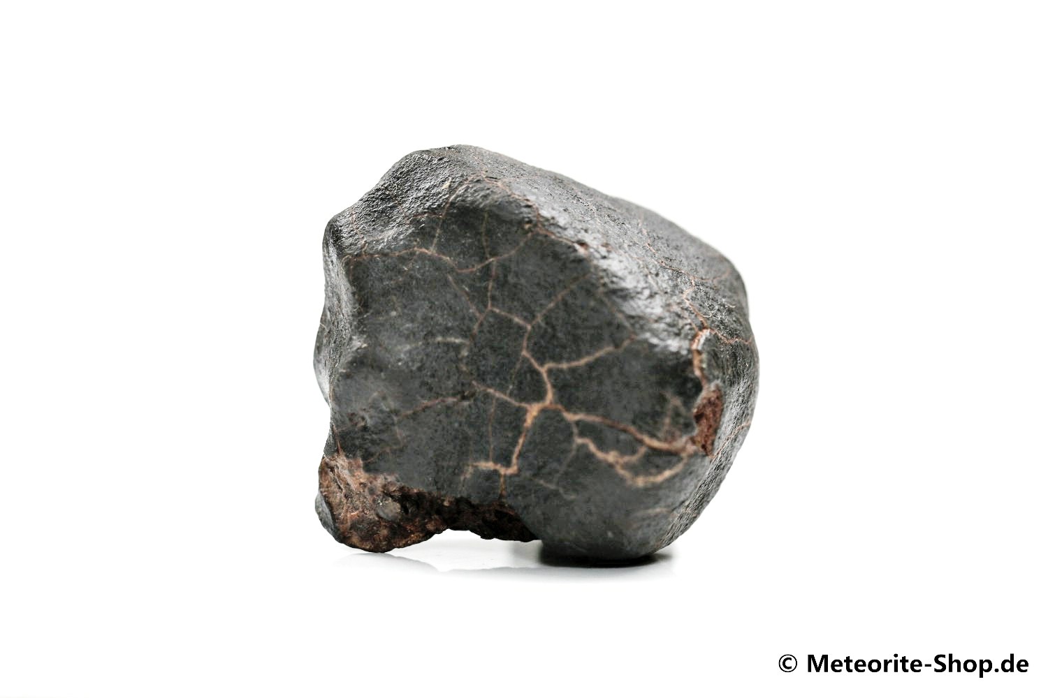 NWA Zagora Meteorit - 22,00 g