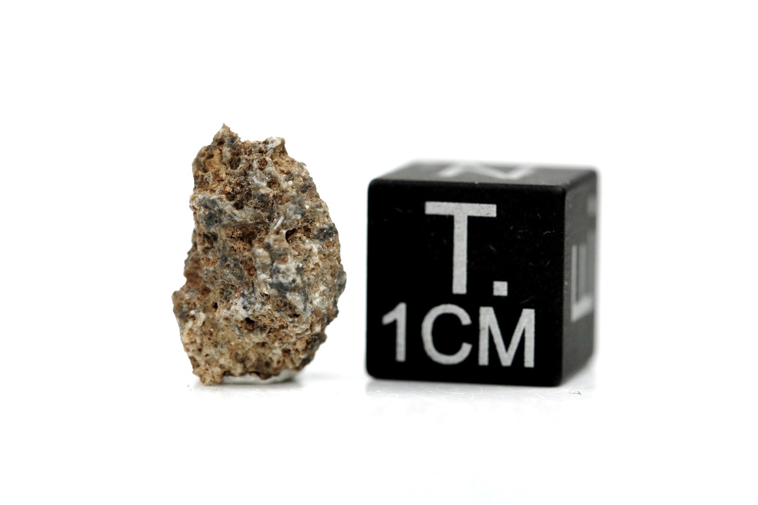 NWA 11407 Mond Meteorit - 0,448 g