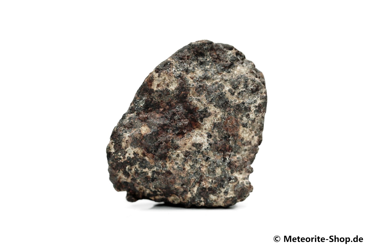 NWA 869 Meteorit - 24,30 g