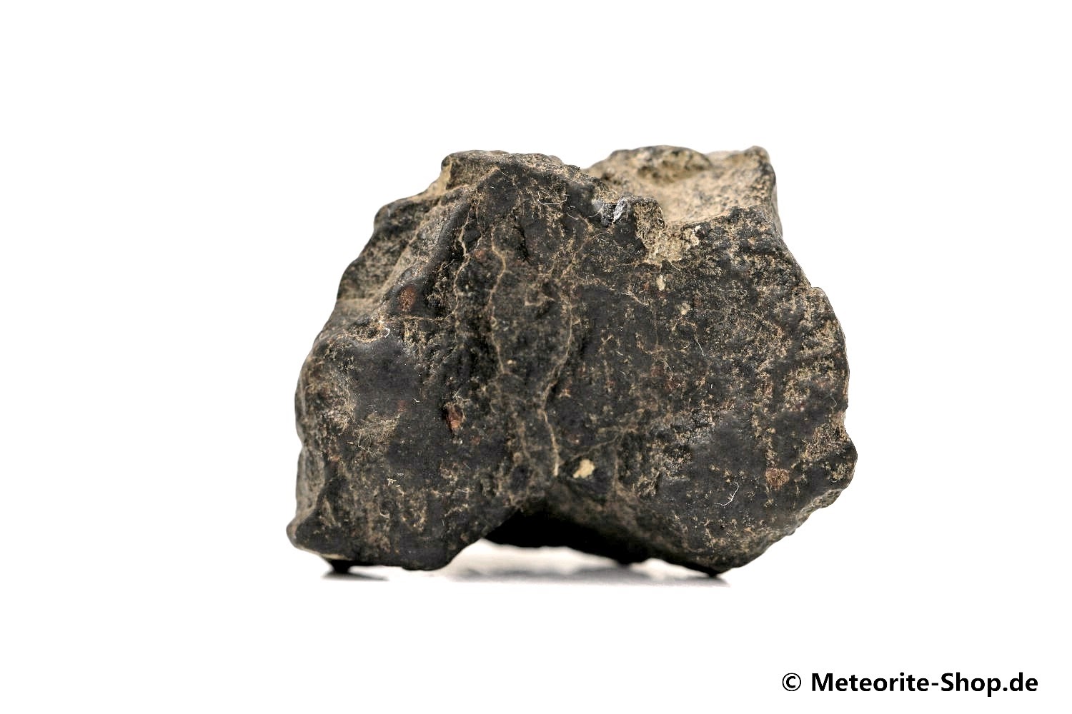 NWA Tagounite Meteorit - 14,10 g