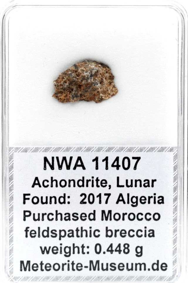 NWA 11407 Mond Meteorit - 0,448 g
