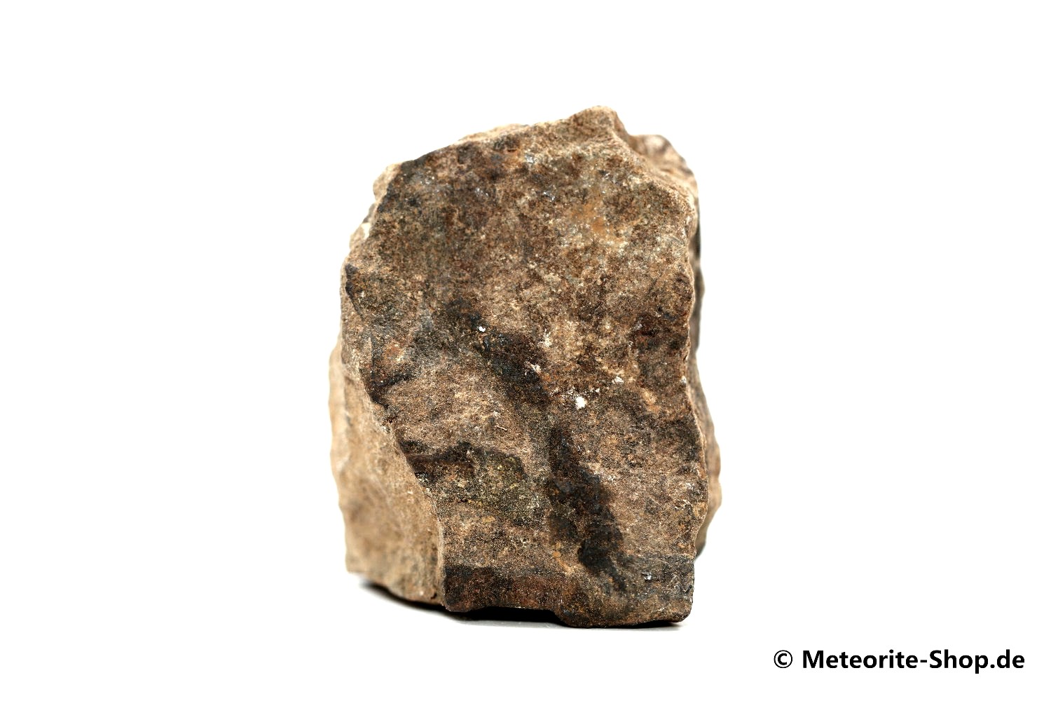 Al Haggounia 001 Meteorit - 36,70 g