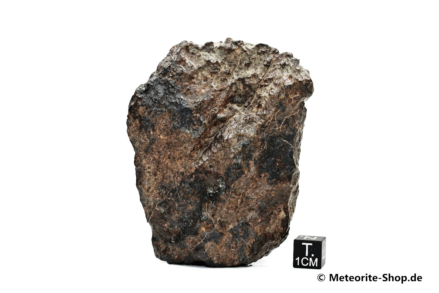 NWA Sahara Meteorit - 241,40 g