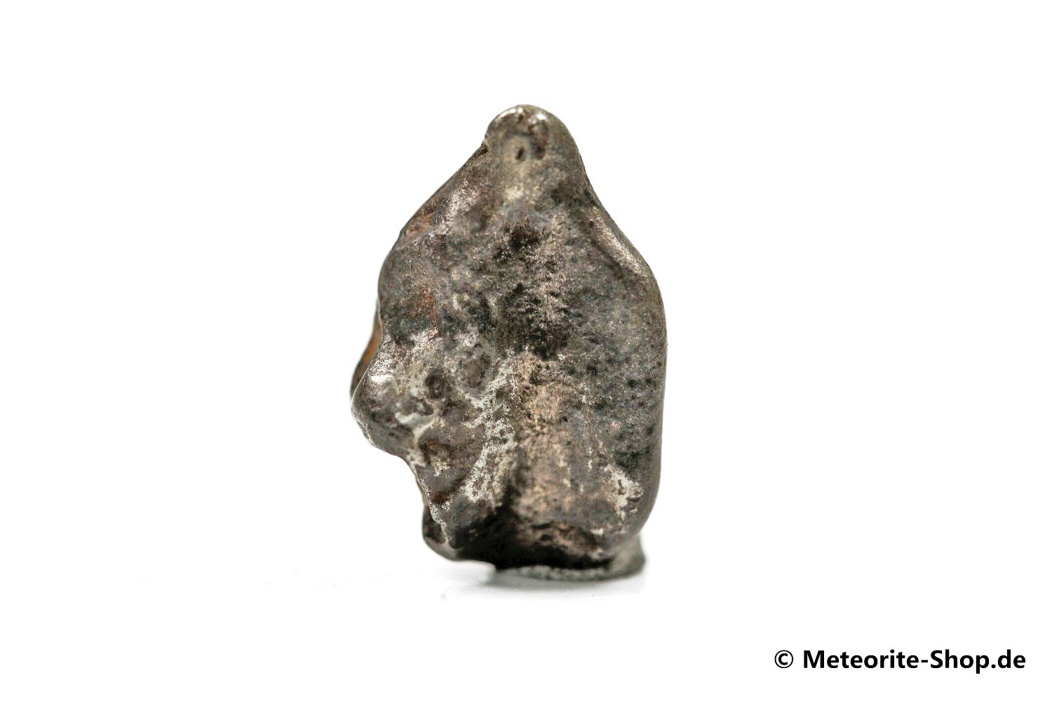 Golden Pallasite Meteorit (gepairt mit NWA 7788) - 1,35 g
