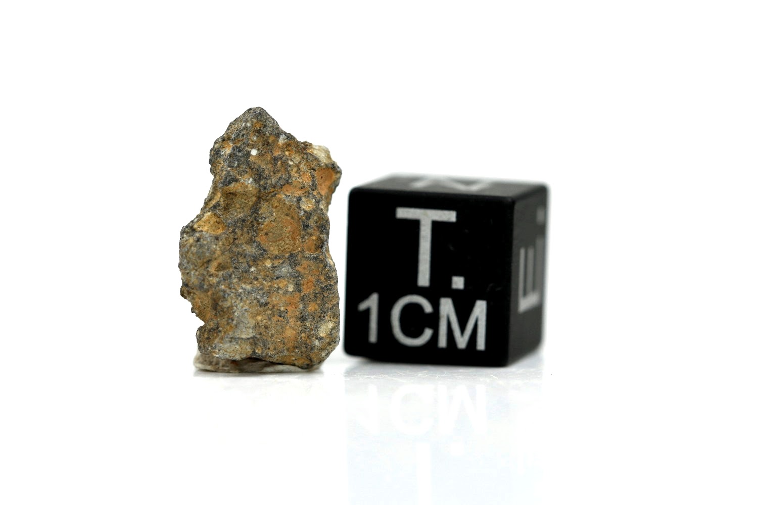NWA 11407 Mond Meteorit - 1,192 g