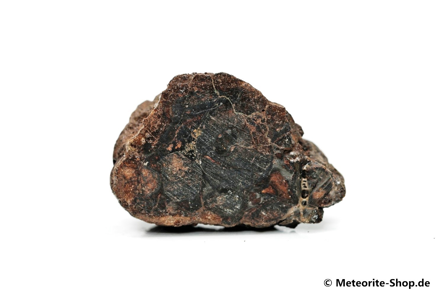Sericho Meteorit - 21,50 g