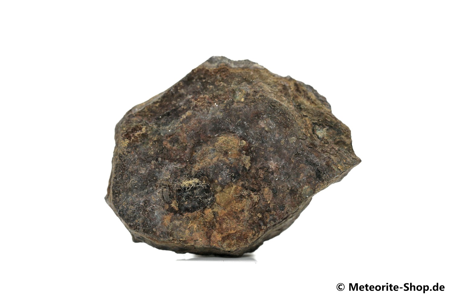 Dronino Meteorit - 17,30 g