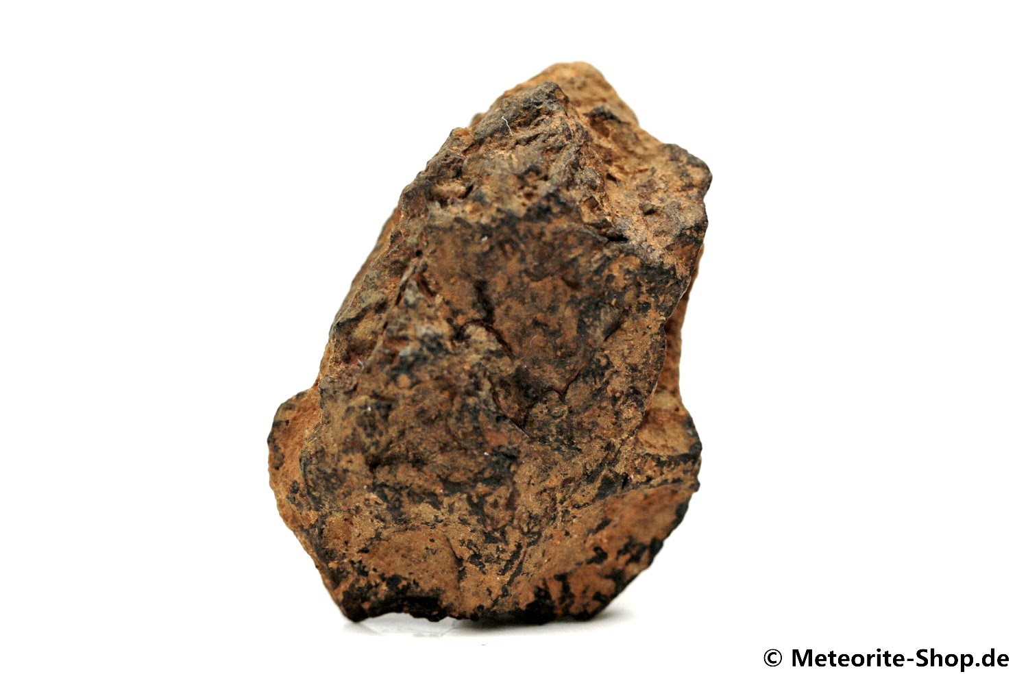 Wolf Creek Meteorit - 9,50 g