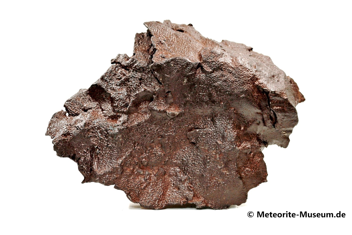 Gebel Kamil Meteorit - 6.300,00 g - Museums Exponat !