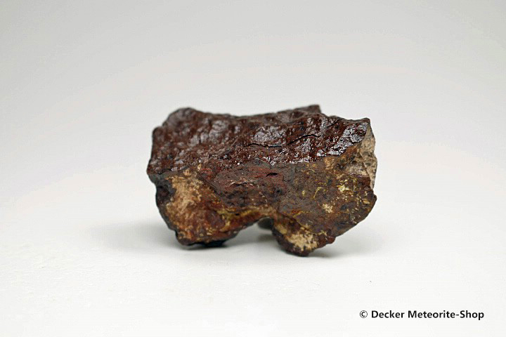 Dhofar 020 Meteorit - 40,60 g