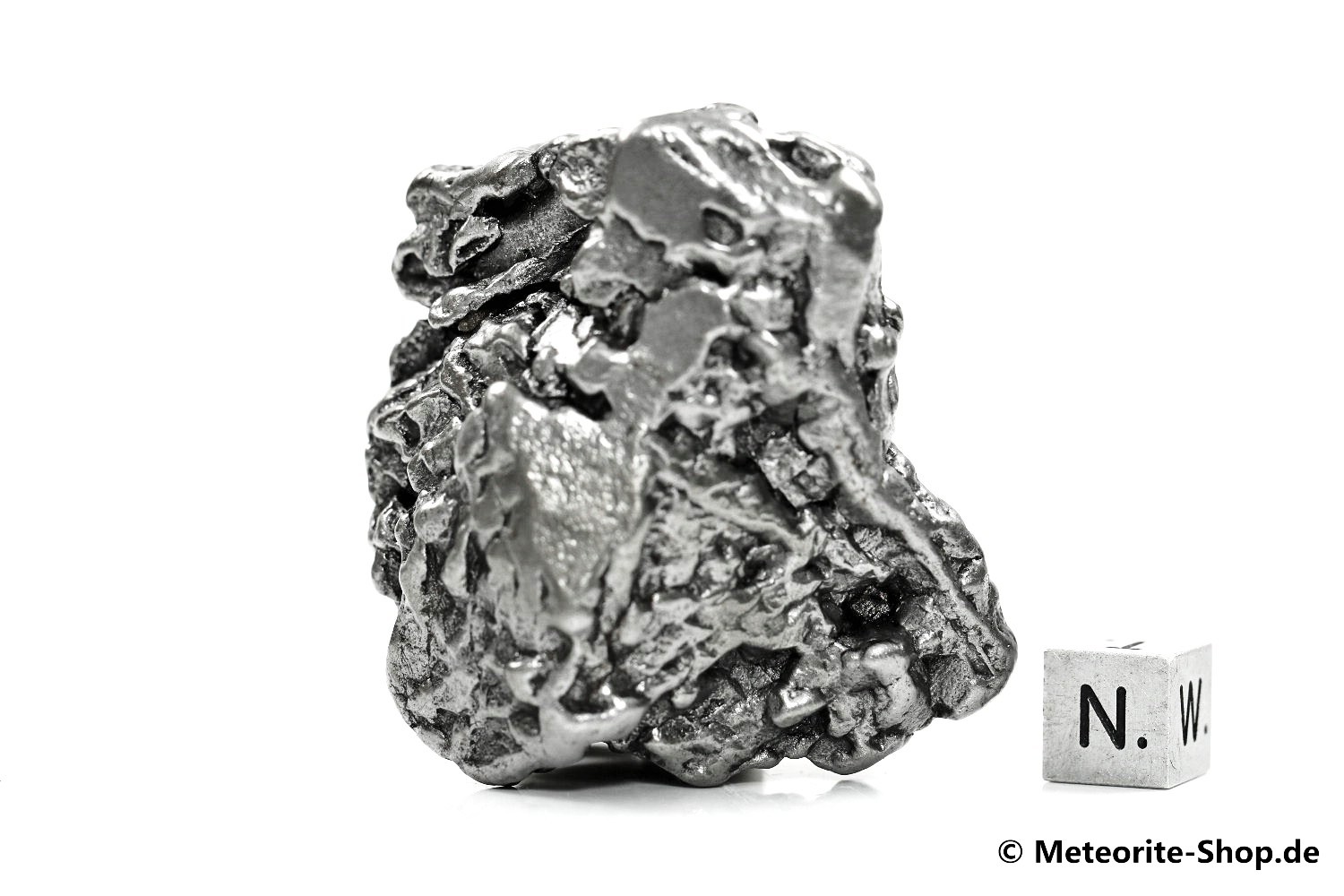 Campo del Cielo Meteorit - 231,60 g