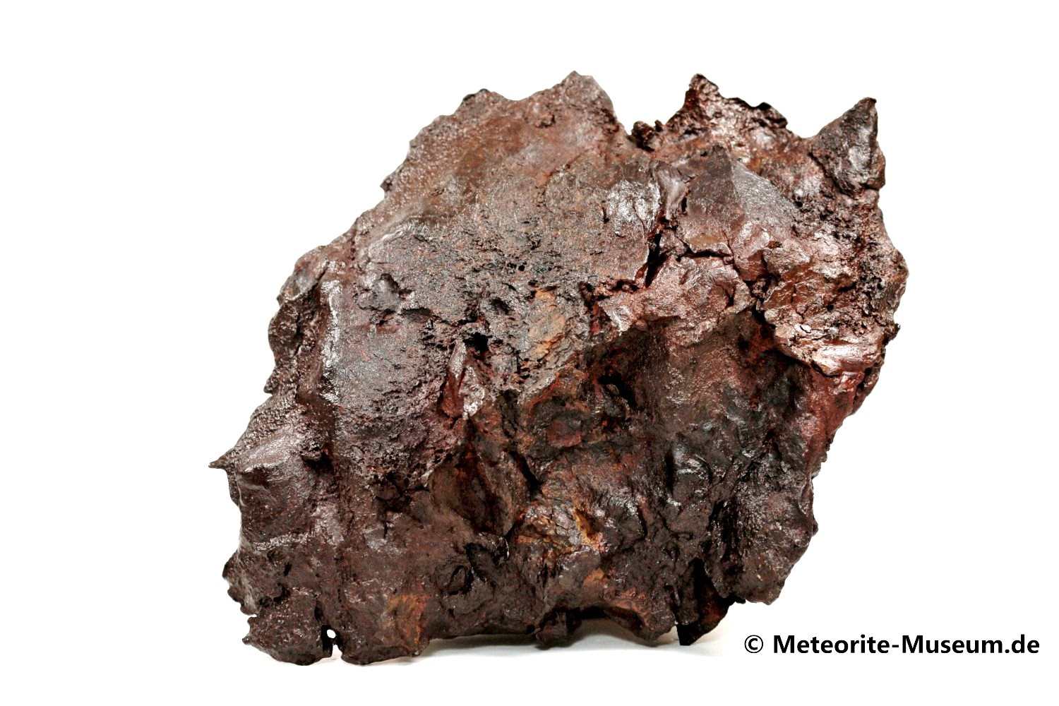 Gebel Kamil Meteorit - 6.300,00 g - Museums Exponat !