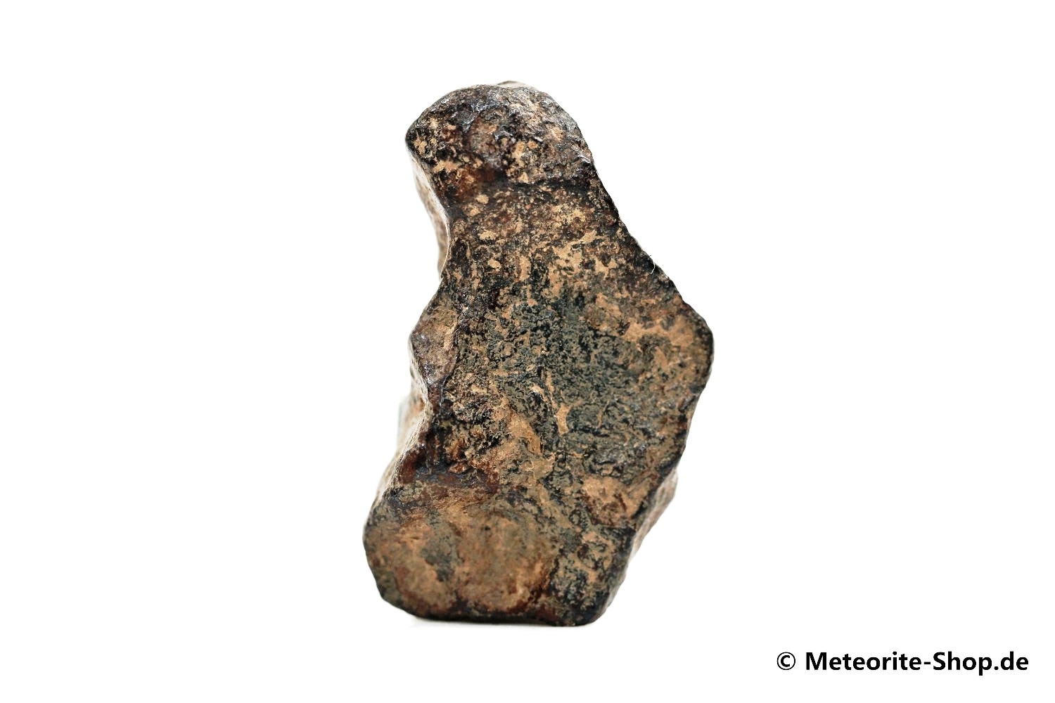 Agoudal Meteorit - 12,80 g