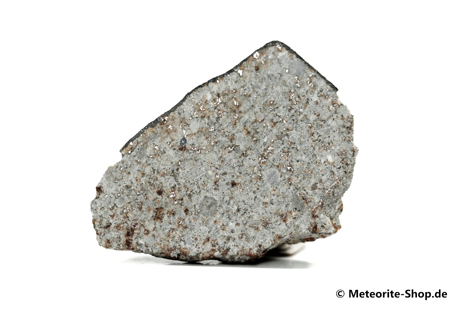 HaH 346 Meteorit GHADAMIS - 9,50 g