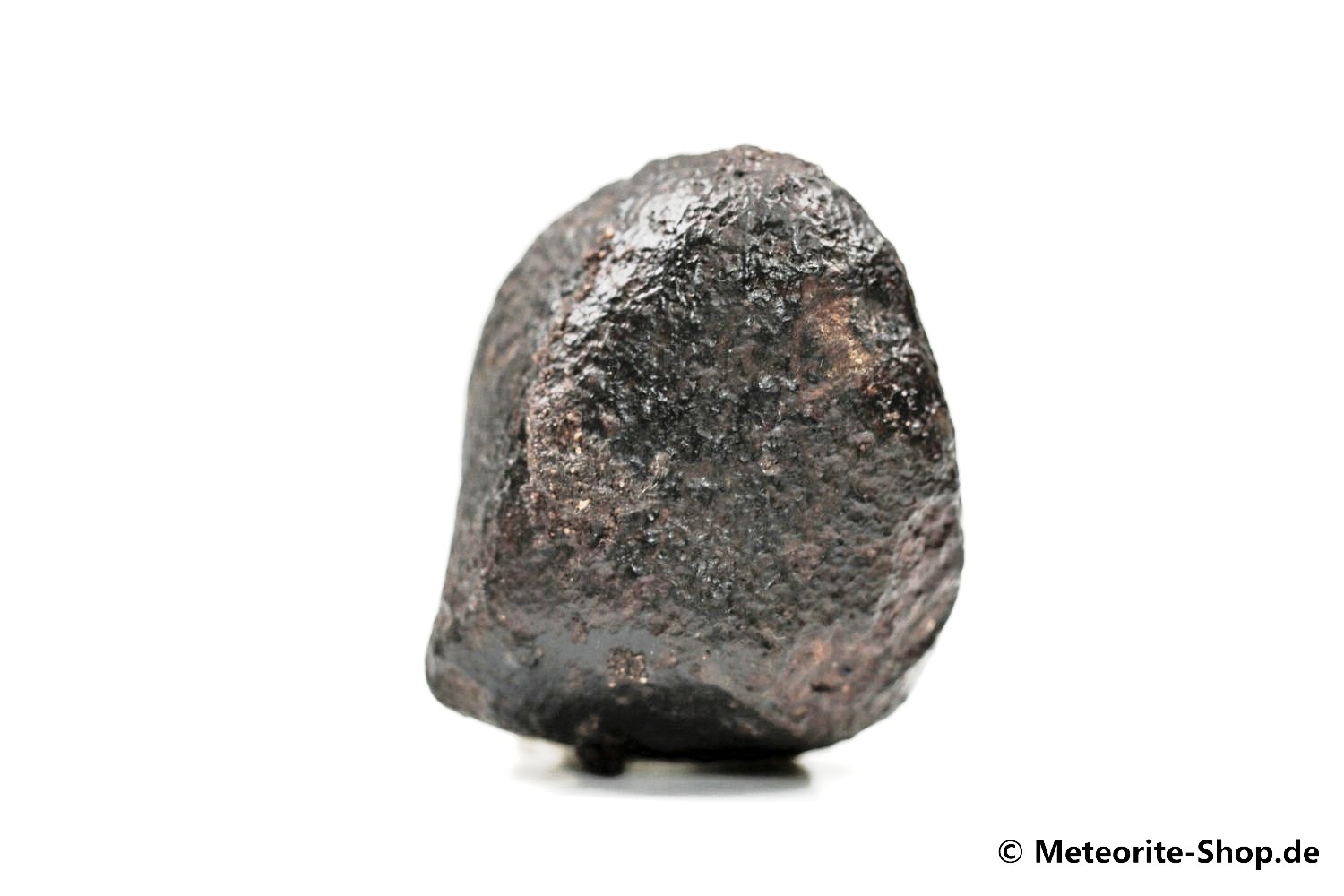 NWA Zagora Meteorit - 46,90 g