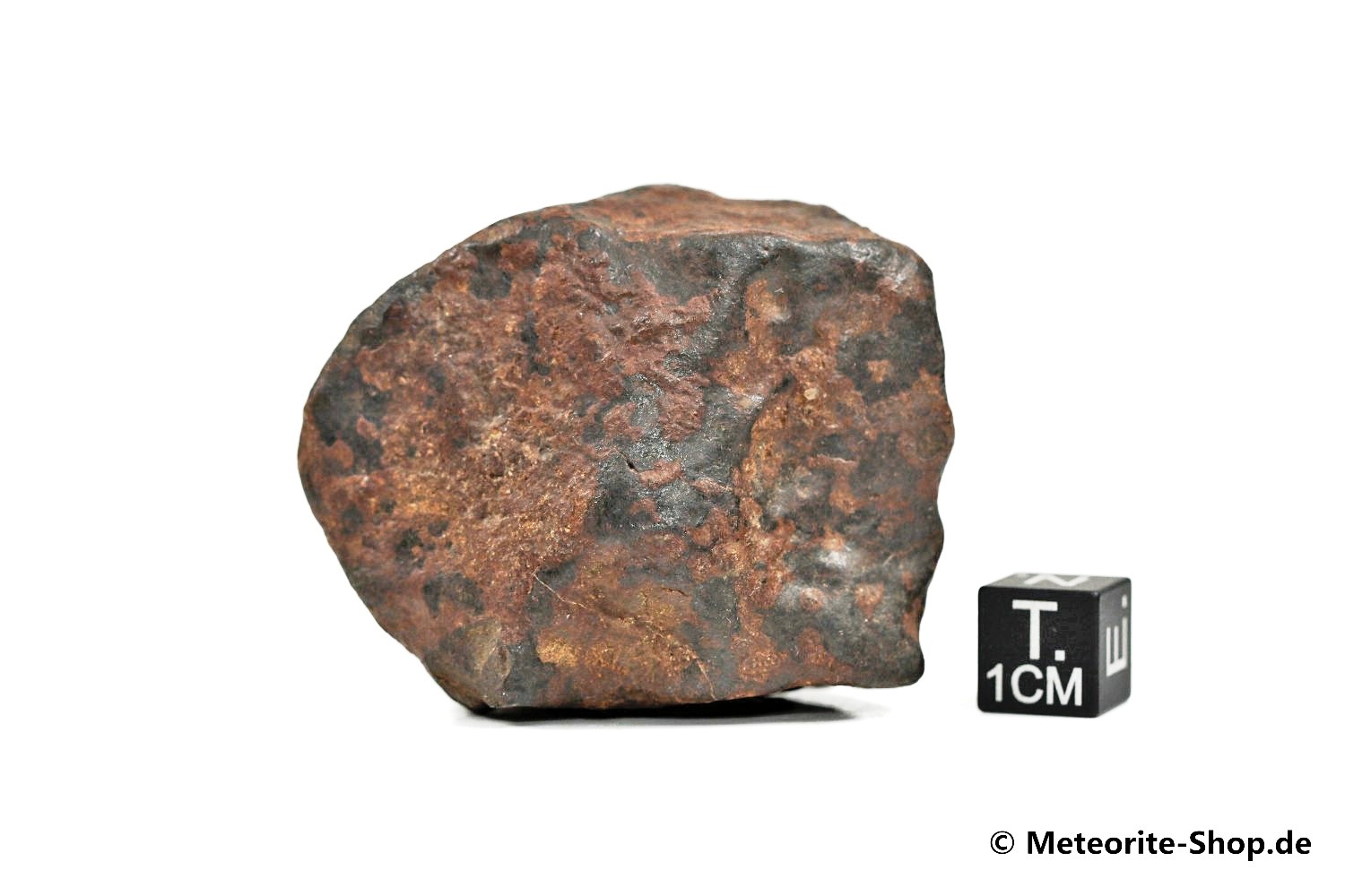 NWA Westsahara Meteorit - 131,40 g