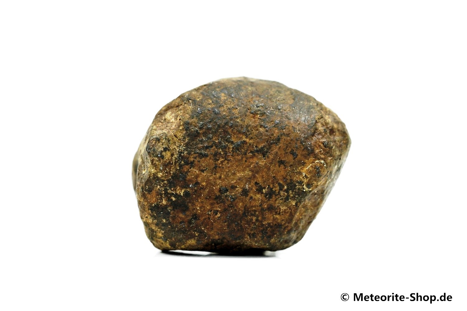 NWA Marrakesch Meteorit - 30,80 g
