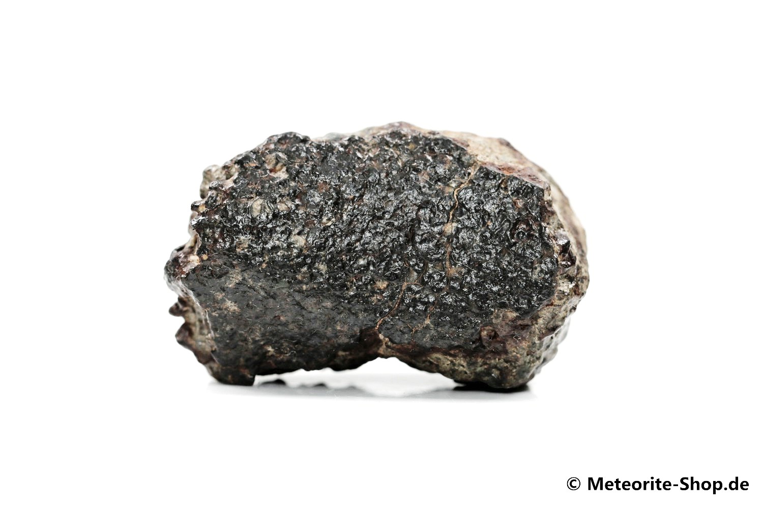 NWA Sahara Meteorit - 46,30 g