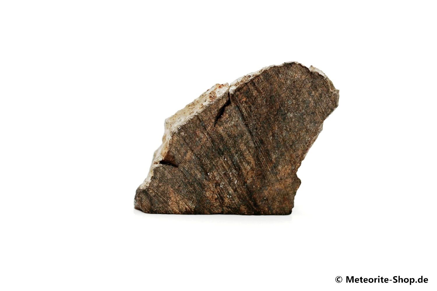 Dhofar 020 Meteorit - 7,60 g