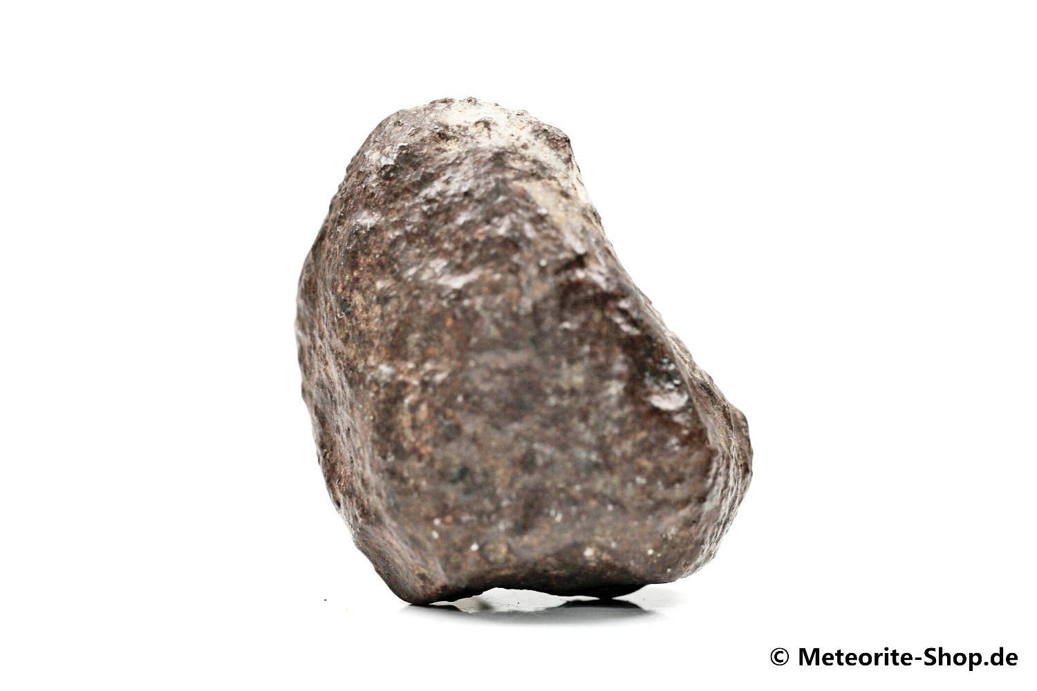 NWA Casablanca Meteorit - 63,90 g