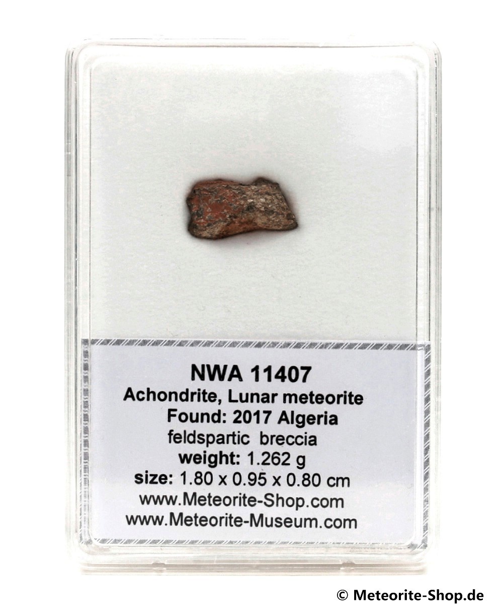 NWA 11407 Mond Meteorit - 1,262 g -