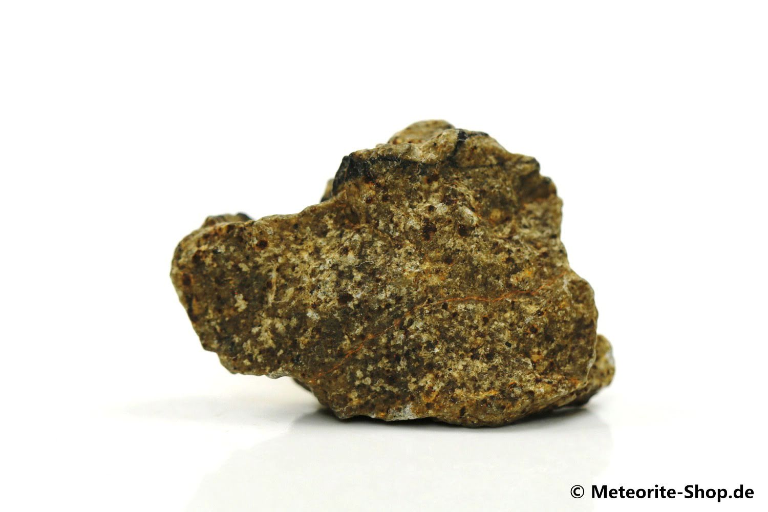 Tindouf 006 Meteorit - 8,90 g