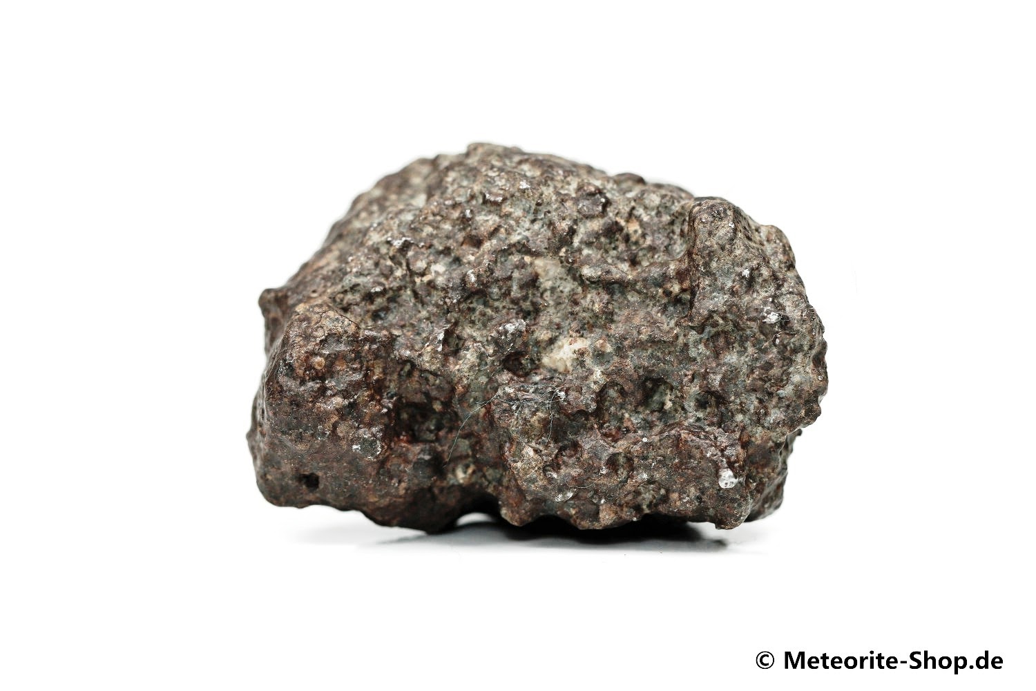 NWA 869 Meteorit - 70,40 g