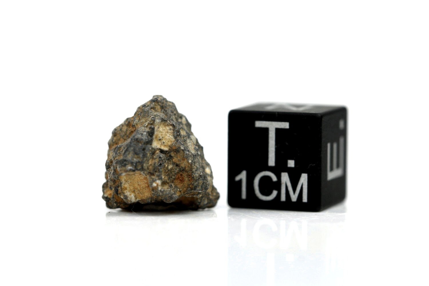 NWA 11407 Mond Meteorit - 1,256 g