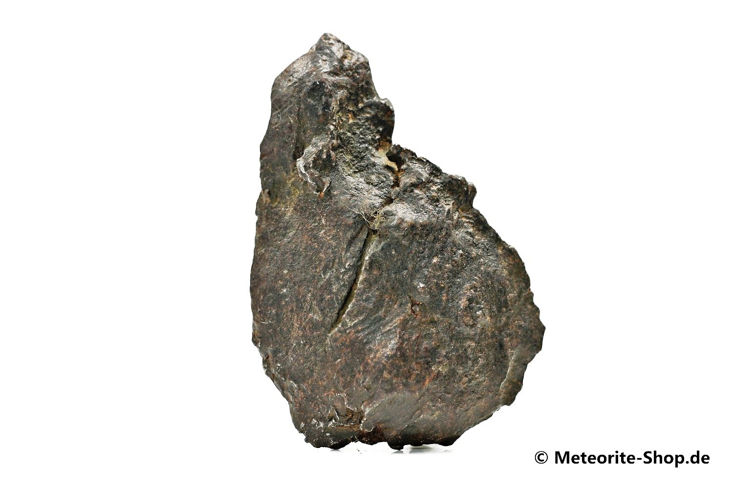 Sikhote-Alin Meteorit - 91,10 g