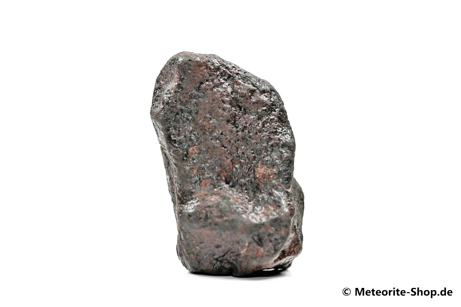 NWA Sahara Meteorit - 48,40 g