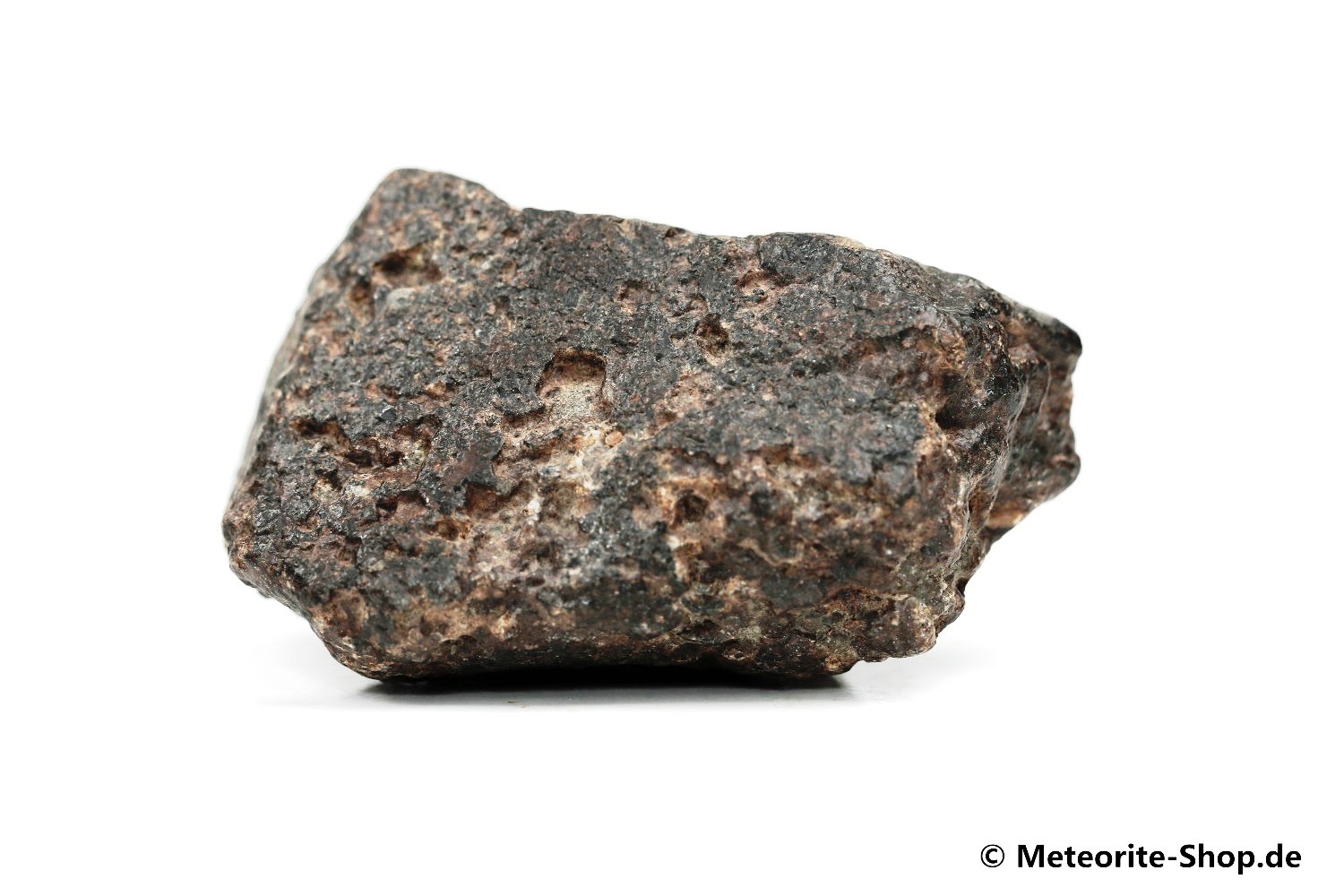 NWA 869 Meteorit - 82,10 g